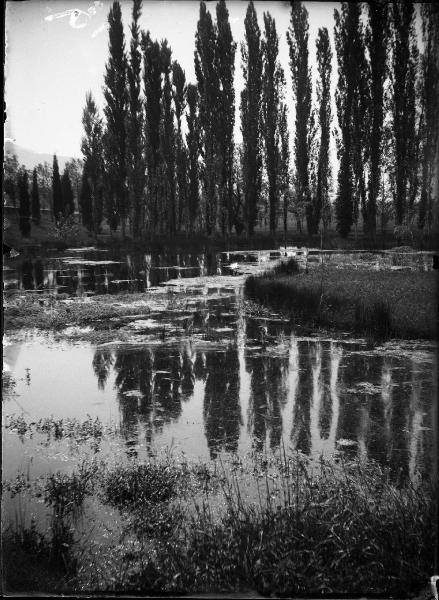 Paesaggio. Fonti del Clitunno