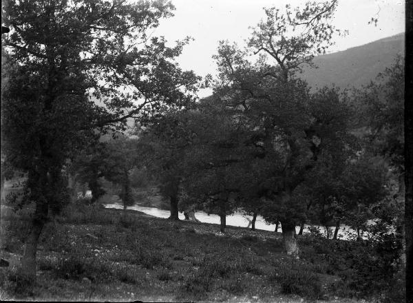 Paesaggio. Valnerina - Veduta - Fiume Nera - Querce