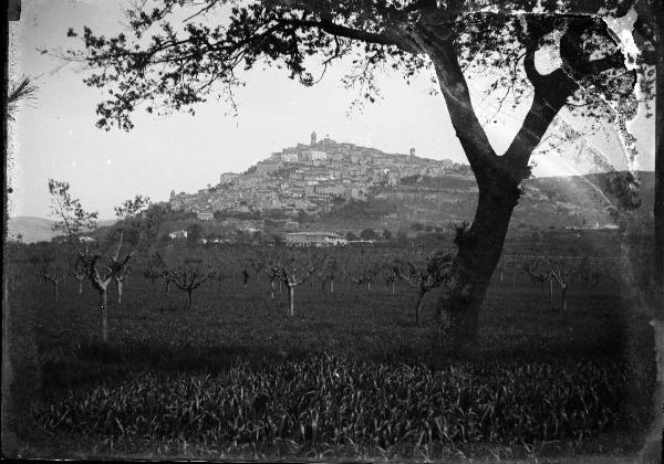 Paesaggio. Trevi - Uliveto