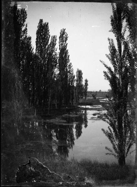 Paesaggio. Fonti del Clitunno