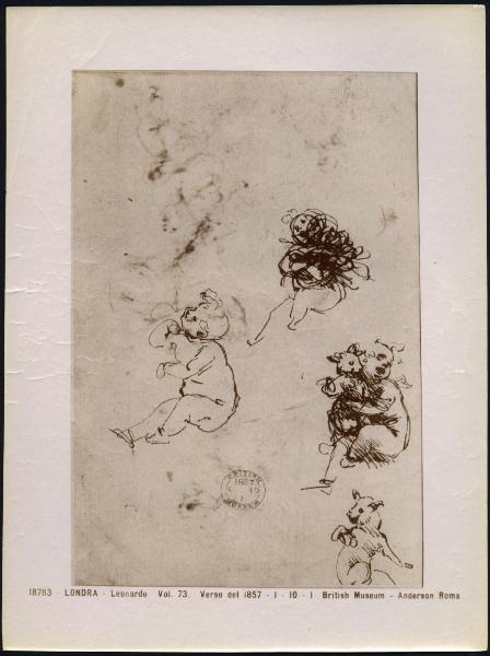 Disegno - Studi per la Madonna del Gatto - Leonardo da Vinci - Londra - British Museum - inv. 1860-6-16-98