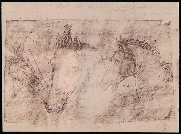 Disegno - Studio di tre teste di cavallo - Incisiore leonardesco - Milano - Castello Sforzesco - Civica Raccolta delle Stampe Achille Bertarelli - inv. Art. Prez. m 277