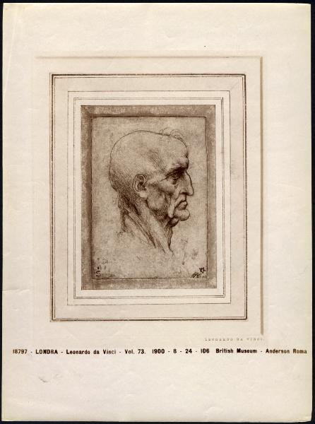 Disegno - Testa di vecchio di profilo - Leonardo da Vinci - Londra - British Museum - inv. 1900, 0824.106