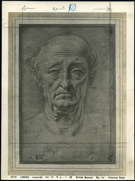 Disegno - Testa di vecchio - Maestro della Pala Sforzesca - Londra - British Museum - inv. Pp. I-35