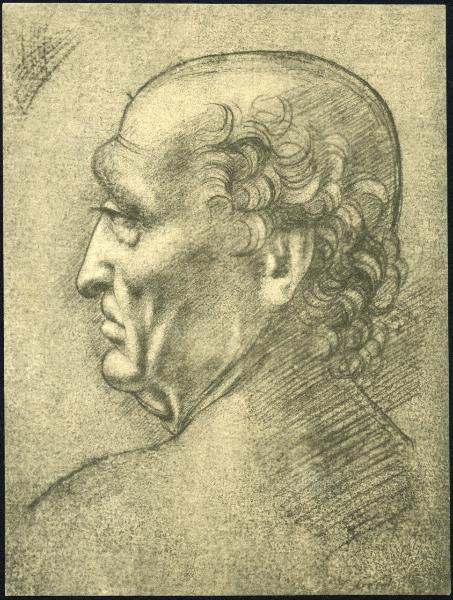 Disegno - Testa d'uomo di profilo - Maestro della Pala Sforzesca - Firenze - Uffizi - Gabinetto stampe e disegni - inv. 442 E