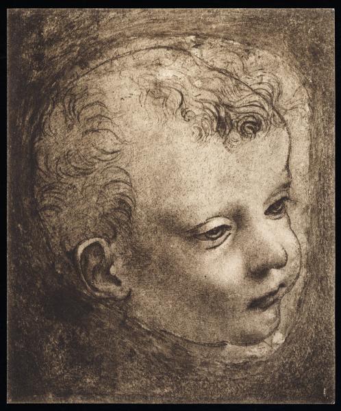 Disegno - Studio di testa di bambino - Giovanni Antonio Boltraffio - Parigi - Museo del Louvre - inv. 2347