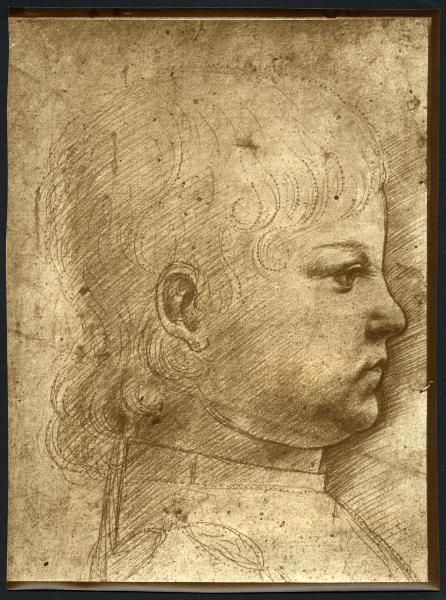 Disegno - Ritratto di Massimiliano Sforza - Maestro della Pala Sforzesca - Milano - Biblioteca Ambrosiana - F 290 inf. 13