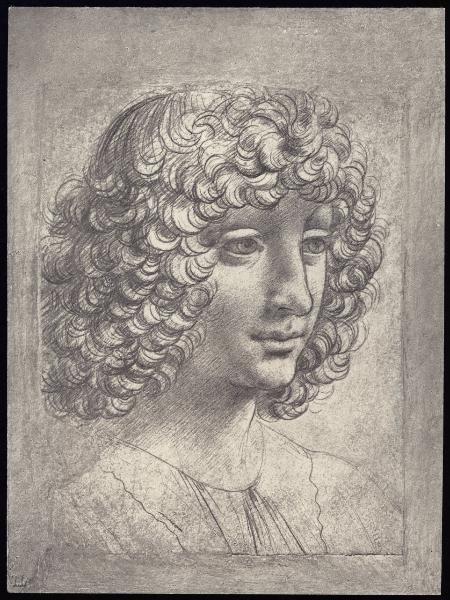 Disegno - Testa di giovane - Giovanni Antonio Boltraffio - Mosca - Museo Puskin