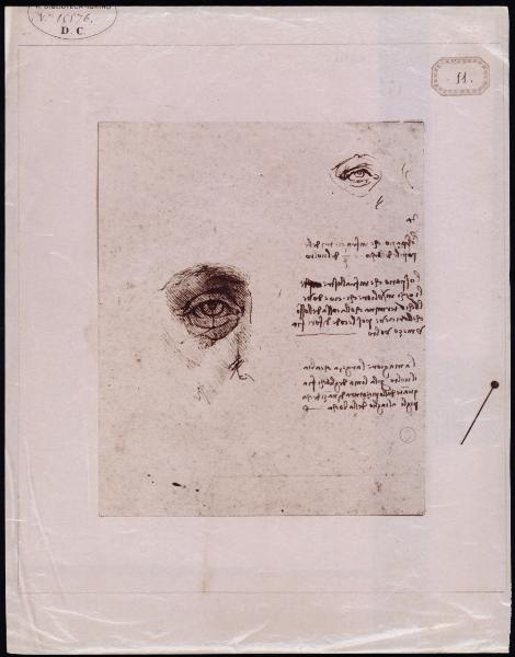 Disegno - Studio delle proporzioni dell'occhio - Leonardo da Vinci - Torino - Biblioteca Reale - inv. 15574