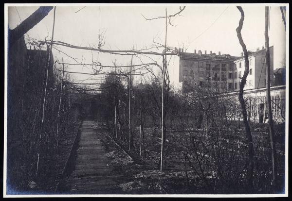 Milano - Vigna di Leonardo da Vinci