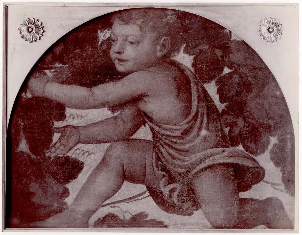 Dipinto murale - Putto sotto un pergolato - Bernardino Luini - Londra - Collezione Wallace (da Milano - Villa Rabia detta "La Pelucca")