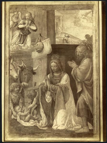 Dipinto murale - Natività - Bernardino Luini - Parigi - Museo del Louvre (da Milano - Oratorio di Greco Milanese)