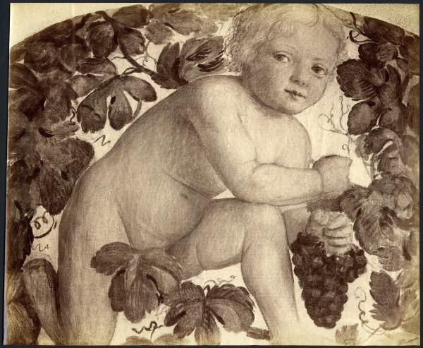 Dipinto murale - Putto sotto un pergolato - Bernardino Luini - Parigi - Museo del Louvre (da Milano - Villa Rabia detta "La Pelucca")