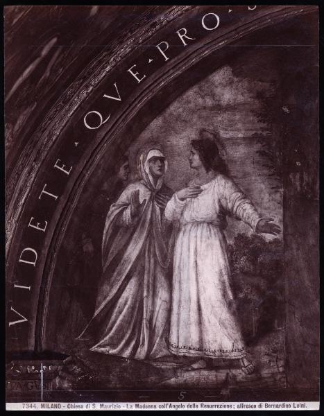 Dipinto murale - Incontro di Maria e Giovanni - Bernardino Luini - Milano - Chiesa di S. Maurizio al Monastero Maggiore - Cappella Besozzi