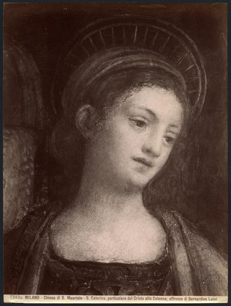 Dipinto murale - Cristo alla colonna - Particolare del volto di S. Caterina - Bernardino Luini - Milano - Chiesa di S. Maurizio al Monastero Maggiore - Cappella Besozzi