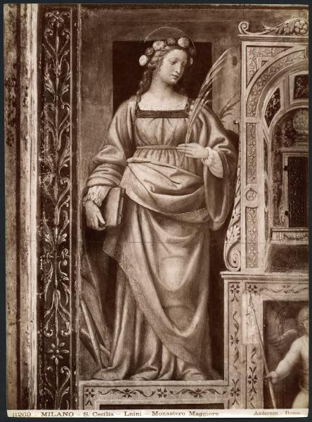 Dipinto murale - S. Cecilia - Bernardino Luini - Milano - Chiesa di S. Maurizio al Monastero Maggiore