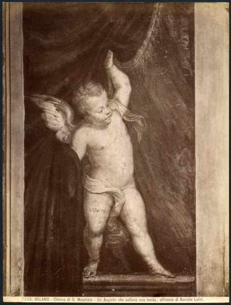 Dipinto murale - Putto reggicortina - Aurelio Luini - Milano - Chiesa di S. Maurizio al Monastero Maggiore - Cappella Bentivoglio