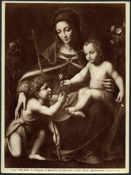 Dipinto - Madonna con Bambino e S. Giovannino - Bernardino Luini - Milano - Pinacoteca Ambrosiana