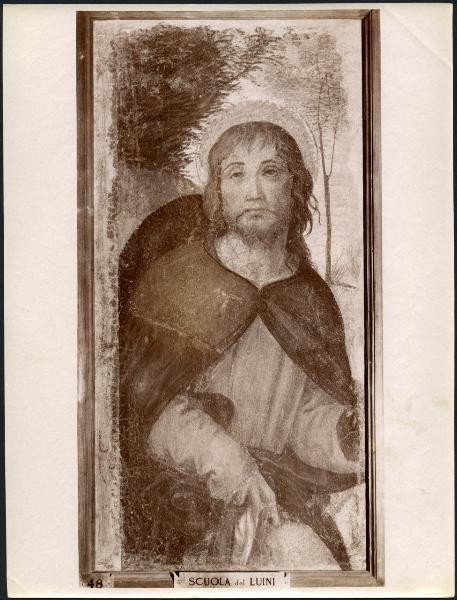 Dipinto murale - S. Rocco - Scuola di Bernardino Luini - Milano - Pinacoteca di Brera (da Milano - Monastero delle Vetere)