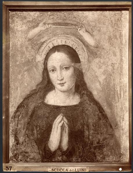 Dipinto murale - Madonna incoronata - Scuola di Bernardino Luini - Milano - Pinacoteca Brera