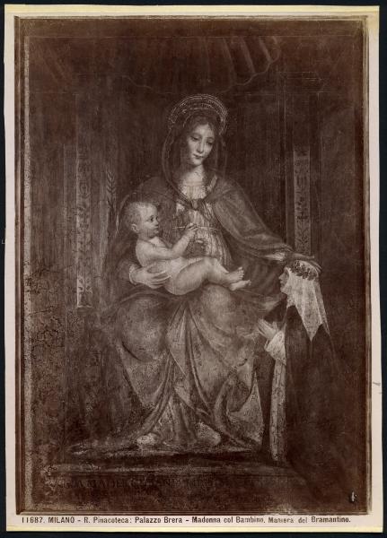 Dipinto murale - Madonna con Bambino e Santa Caterina da Siena, detta Madonna Cusani - Bernardino Luini - Milano - Pinacoteca di Brera (da Milano - Monastero delle Vetere)