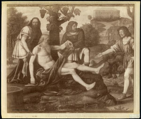 Dipinto - Noè dormiente ricoperto da Sem e Iafet - Bernardino Luini - Milano - Pinacoteca di Brera (da Milano - Chiesa di S. Barnaba)