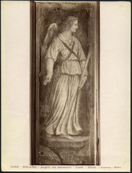 Dipinto murale - Angelo con turibolo - Bernardino Luini - Milano - Pinacoteca di Brera (da Milano - Monastero delle Vetere)