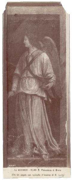 Dipinto murale - Angelo con navicella - Bernardino Luini - Milano - Pinacoteca di Brera (da Milano - Monastero delle Vetere)