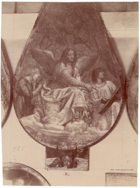 Dipinto murale - Angelo - Bernardino Luini - Milano - Pinacoteca di Brera (da Milano - Chiesa di Santa Maria della Pace - Cappella di San Giuseppe)