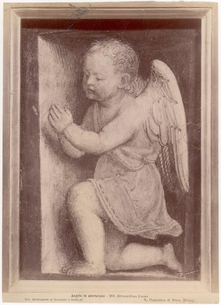 Dipinto murale - Angelo in adorazione - Bernardino Luini - Milano - Pinacoteca di Brera (da Milano - Monastero delle Vetere)