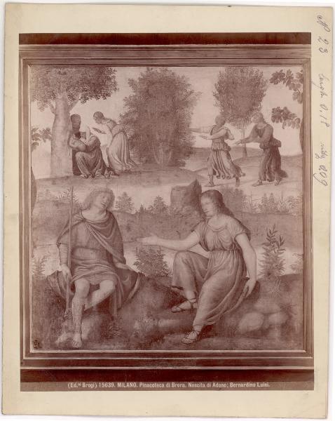 Dipinto murale - Scene mitologiche - Particolare della Nascita di Adone - Milano - Pinacoteca di Brera (da Milano - Villa Rabia detta "La Pelucca")