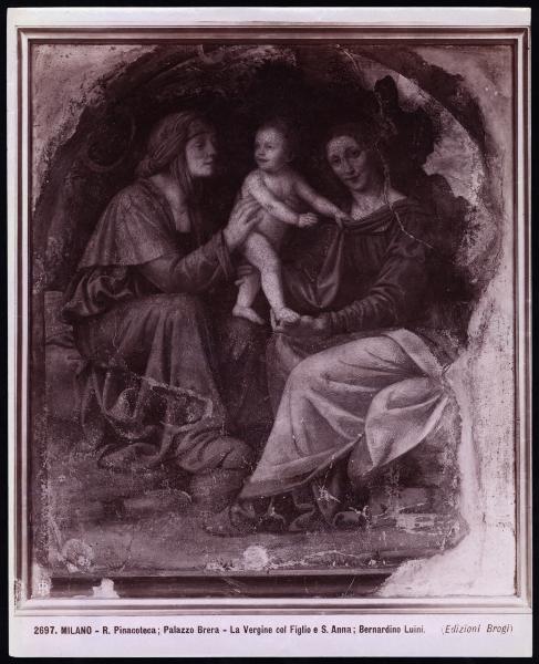 Dipinto murale - Madonna con Bambino e S. Anna - Bernardino Luini - Milano - Pinacoteca di Brera