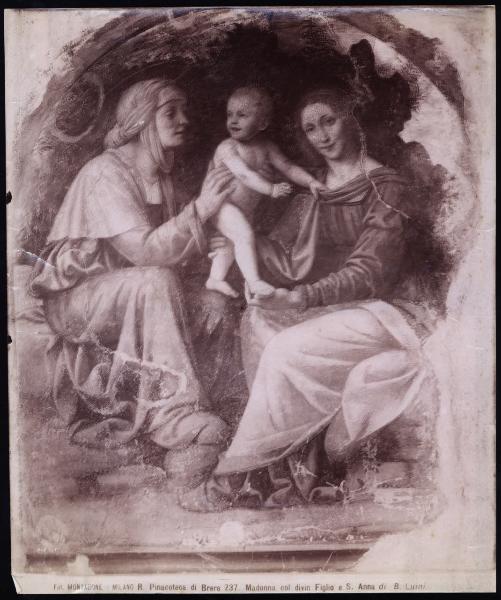 Dipinto murale - Madonna con Bambino e S. Anna - Bernardino Luini - Milano - Pinacoteca di Brera