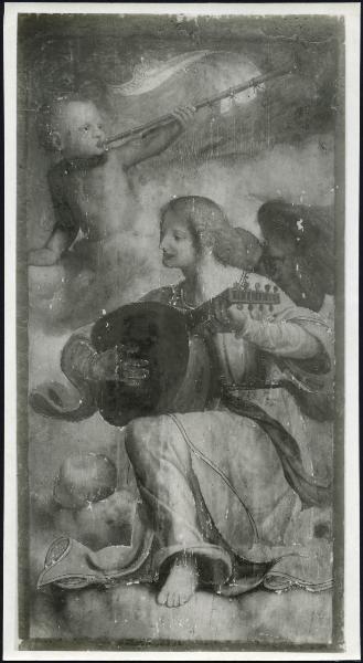 Dipinto - Pala di Bobbio - Particolare dell'angelo con liuto - Bernardino Luini - Bobbio - Cattedrale