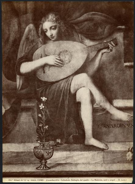 Dipinto - Pala Raimondi - Madonna con Bambino e Santi - Particolare dell'angelo musicante - Bernardino Luini - Como - Cattedrale