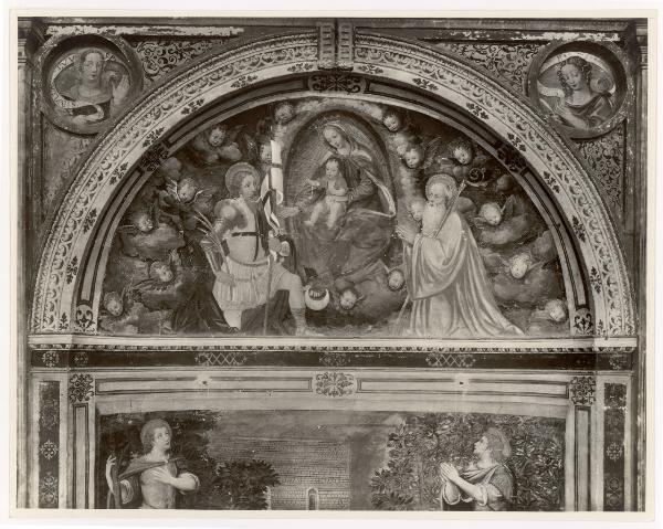 Affresco - Madonna in gloria tra i santi - Bernardino Luini - Meda - Chiesa di San Vittore