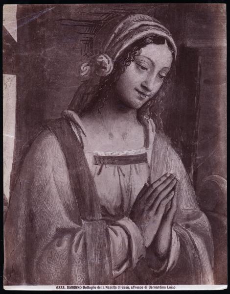 Dipinto murale - Natività - Particolare - Bernardino Luini - Saronno - Santuario di Maria Vergine