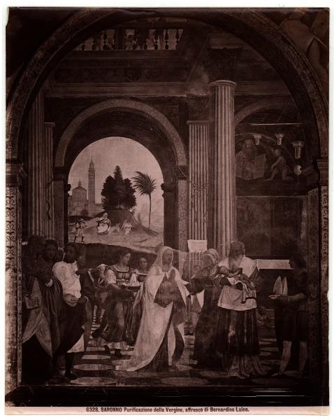 Dipinto murale - Presentazione al tempio - Bernardino Luini - Saronno - Santuario della Beata Vergine dei Miracoli