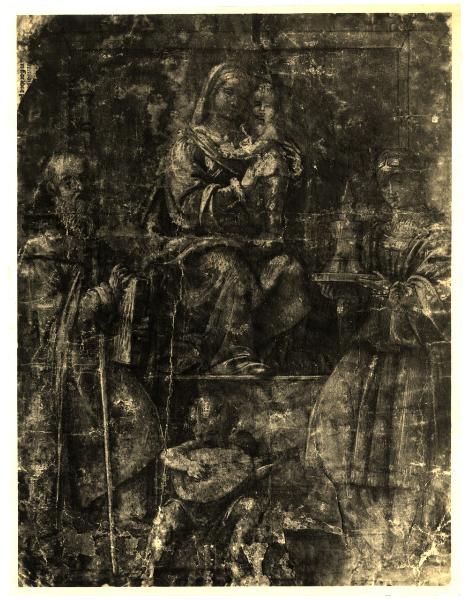 Disegno - Studio per la Madonna con Bambino, S. Antonio e S. Barbara della chiesa di Santa Maria di Brera - Bernardino Luini - Milano - Collezione Dubini