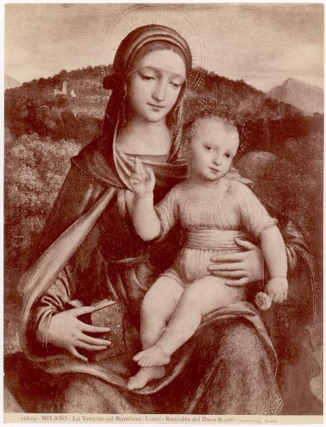 Dipinto - Pala Torriani - Particolare della Vergine col Bambino - Bernardino Luini - Milano - Collezione Trivulzio Gallarati Scotti