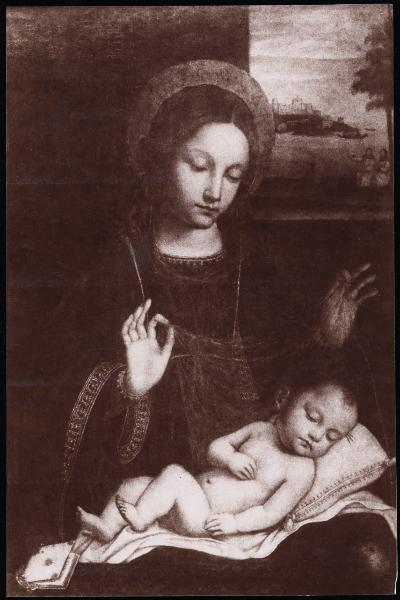 Dipinto - Madonna con Bambino (Madonna del velo) - Ambrogio Bergognone - Milano - Pinacoteca di Brera