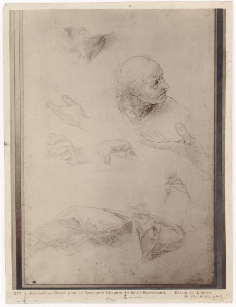 Disegno - Studi per la figura di Bramante nella Disputa del Sacramento - Raffaello Sanzio - Parigi - Musée du Louvre - Département des Arts Graphiques - inv. 3869 recto