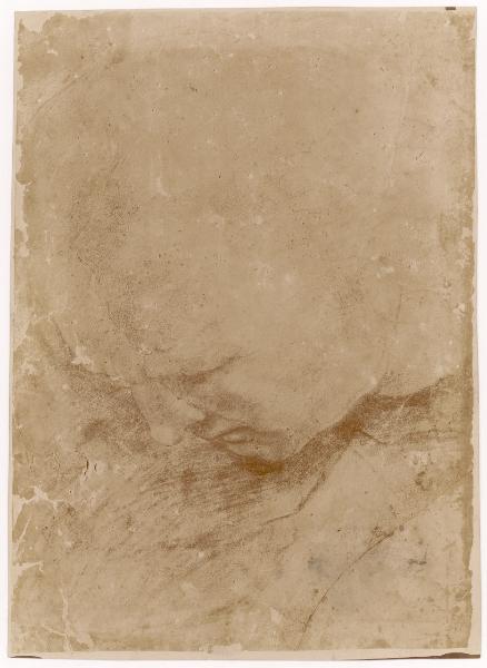 Disegno - Studio per La Scuola di Atene - Presunto ritratto di Bramante come Euclide o Archimede - Raffaello Sanzio - Milano - Biblioteca Ambrosiana - Inv. Cat. 863 - F 290 inf. n. 6