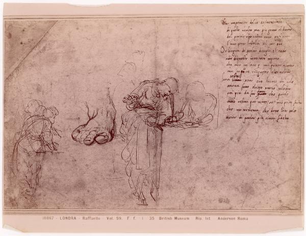 Disegno - Studio per la Disputa del Sacramento - Raffaello Sanzio - Londra - British Museum - inv. Ff 1-35