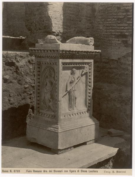 Scultura - Ara dei Dioscuri - Roma - Foro Romano