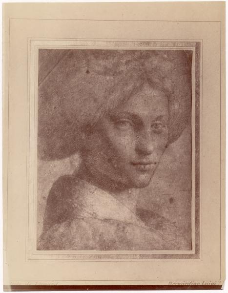 Disegno - Ritratto d'uomo - Bernardino Luini