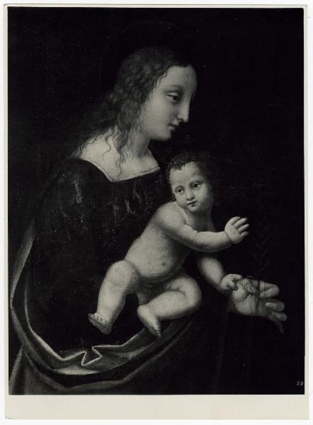 Proprietà Conte Mario Cicogna Mozzoni - Madonna con Bambino, dipinto