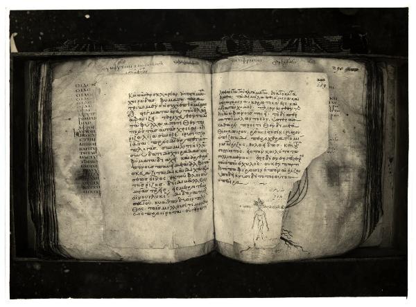 Vienna - Biblioteca Imperiale - Dioscoride, pagine manoscritte