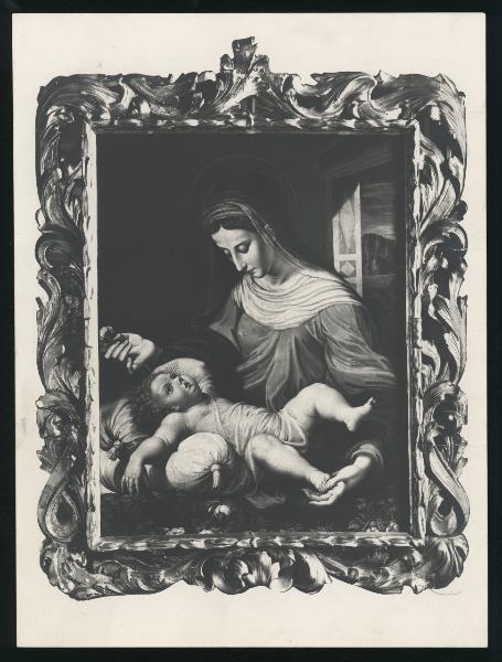 Milano - Proprietà Alberto Gorla - Scuola Emiliana del XVI secolo, Madonna con Bambino, olio