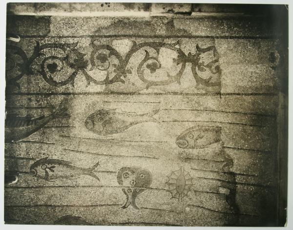 Aquileia - Basilica. Presbiterio, particolare dei pesci del mare, mosaico pavimentale (IV sec.).